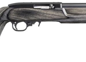 RUGER 10/22 TGT LT 22LR BL/LAM THOLE