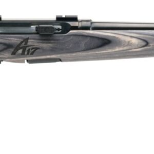 SAVAGE ARMS A17 SPORTER 17WSM BL/LAM 22"