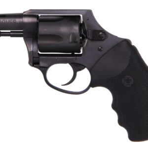 CHARTER ARMS CHARTER BOOMER 44SPC NITRIDE