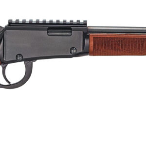 HENRY REPEATING ARMS LEVER ACTION 22MAG BL/WD RAIL