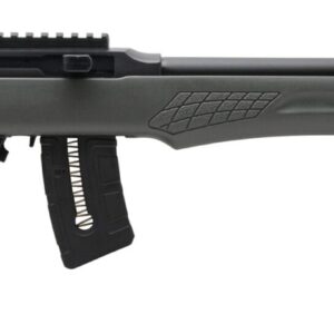 ROSSI RS22 22MAG BLK/GRAY 21" 10+1
