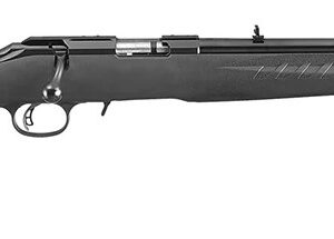 RUGER AMERICAN CMPCT 22LR BL/SY 18"