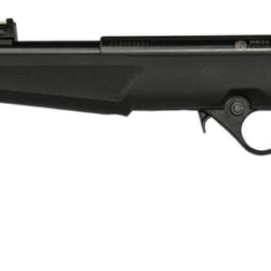 ROSSI RB22 22LR BLK/SYN FLAG 16.5" #